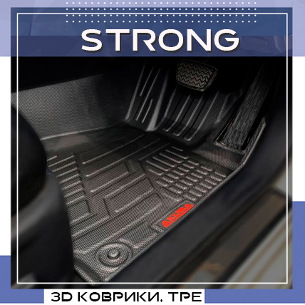 STRONG102082024 103848.jpg